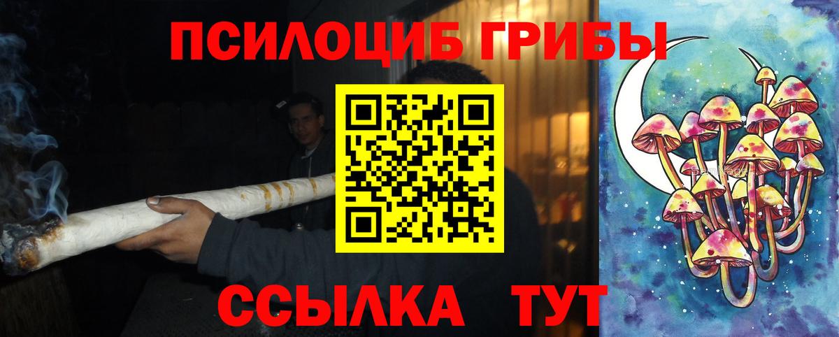 Псилоцибиновые грибы MAGIC MUSHROOMS  Вход с VPN  Камышлов 